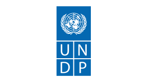 undp digital X